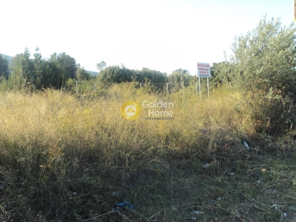 Οικόπεδο στην Αγία Τριάδα, Παιανία — Φωτογραφία 4 από 8
