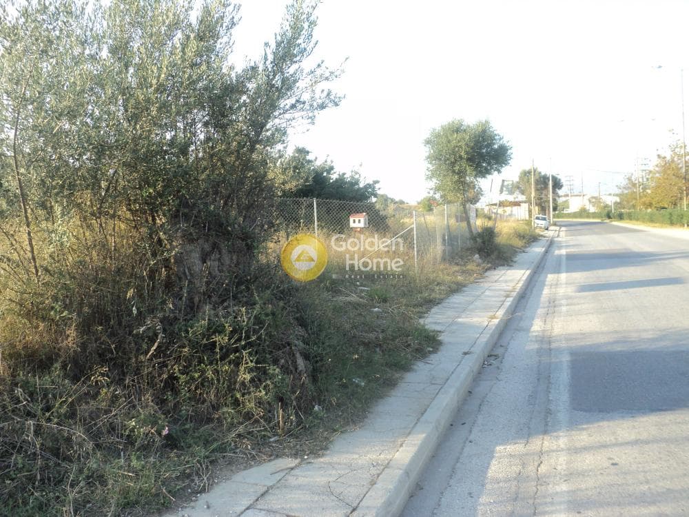 Οικόπεδο στην Αγία Τριάδα, Παιανία — Φωτογραφία 3 από 8