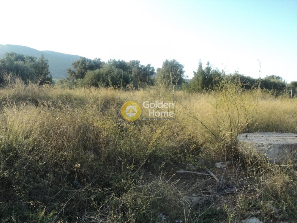 Οικόπεδο στην Αγία Τριάδα, Παιανία — Φωτογραφία 5 από 8