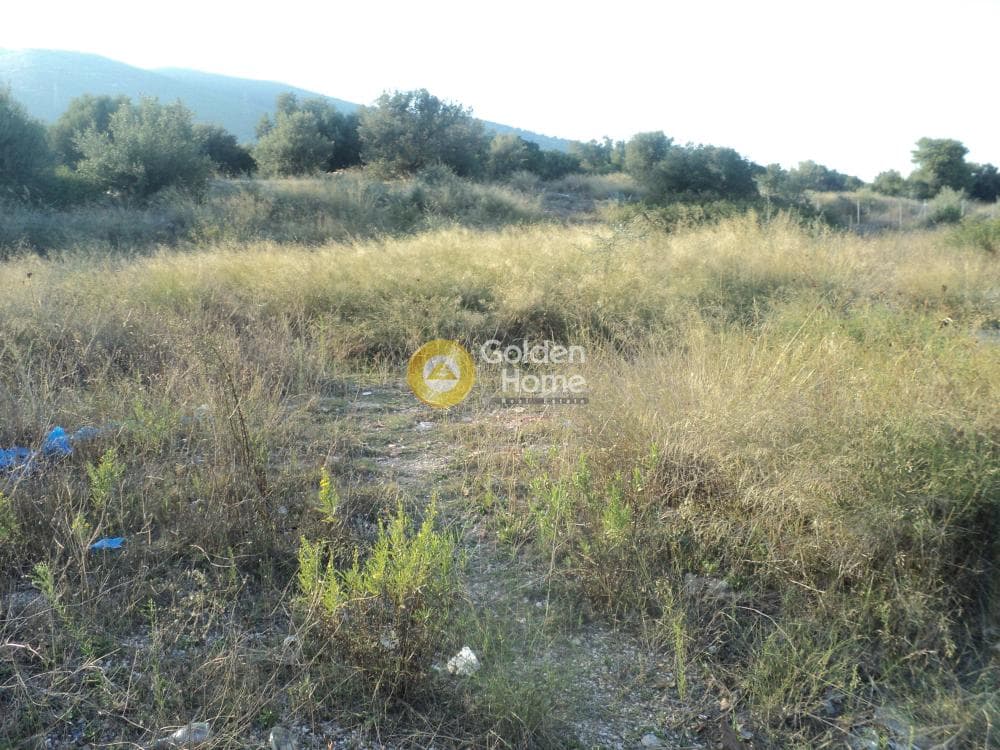 Οικόπεδο στην Αγία Τριάδα, Παιανία — Φωτογραφία 8 από 8