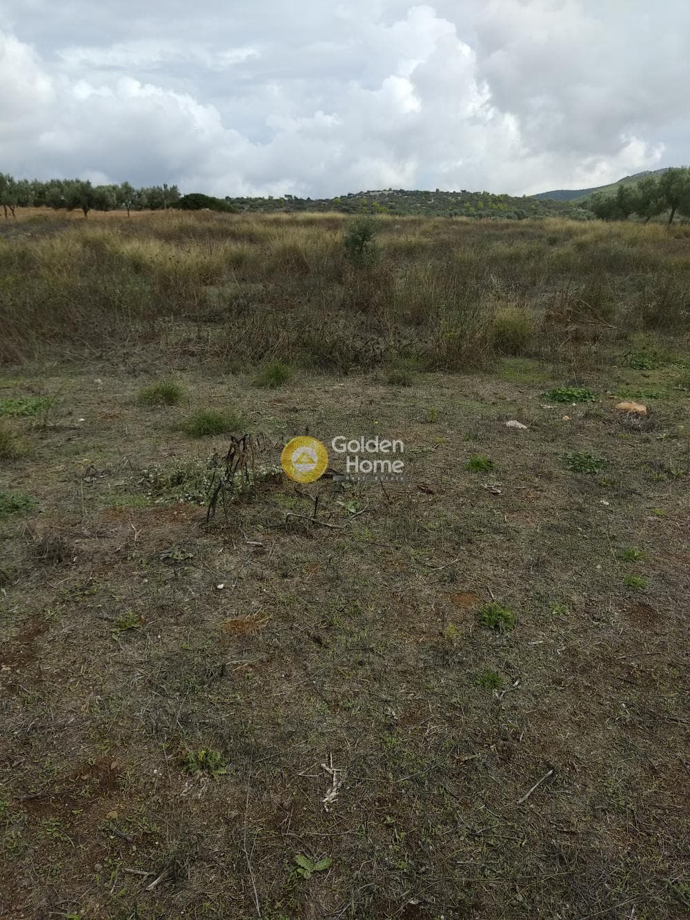 Parcel in Sinterina, Anavissos — Photo 13 of 17