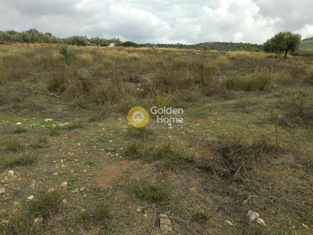 Parcel in Sinterina, Anavissos — Photo 11 of 17