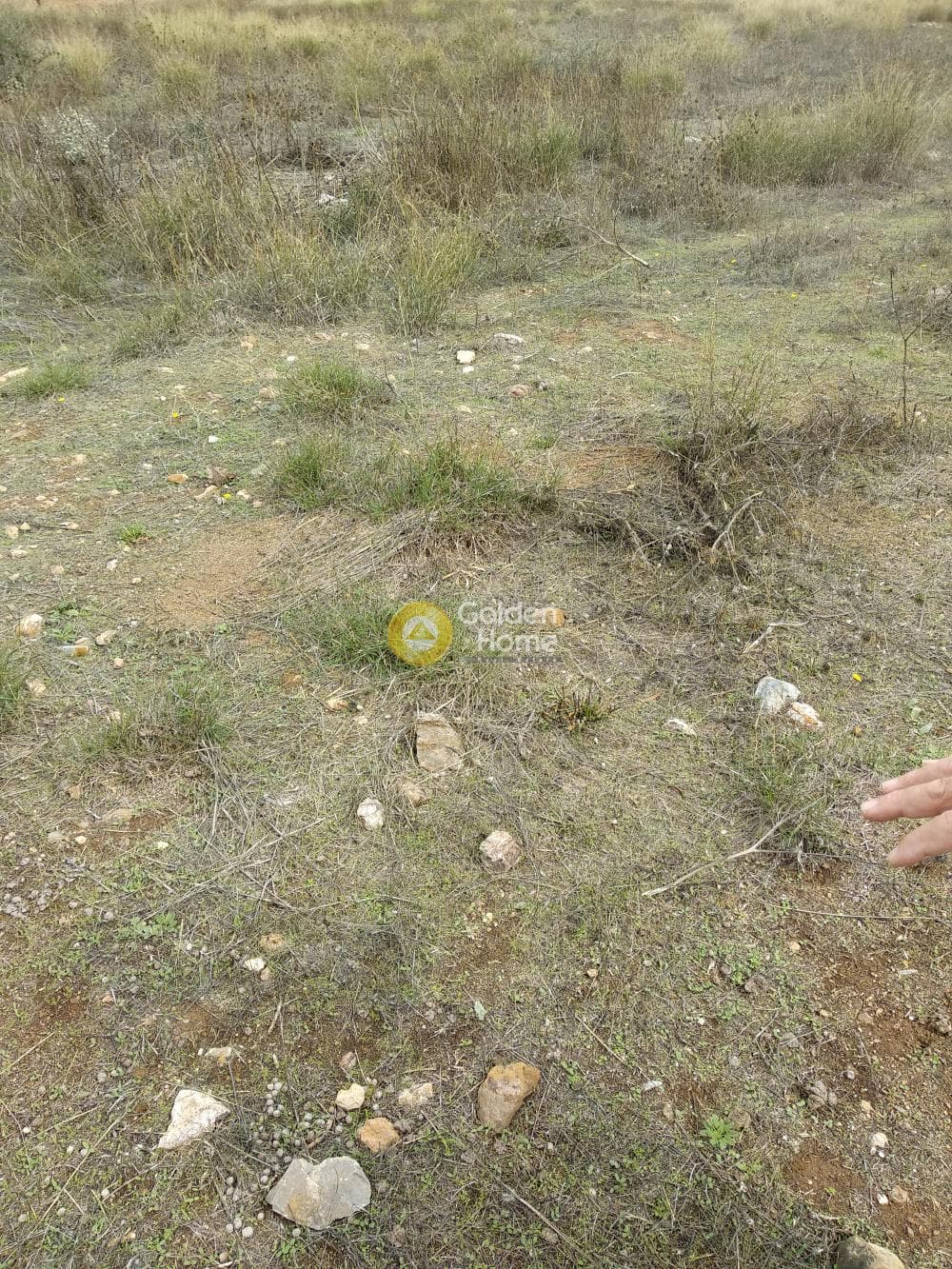 Parcel in Sinterina, Anavissos — Photo 14 of 17