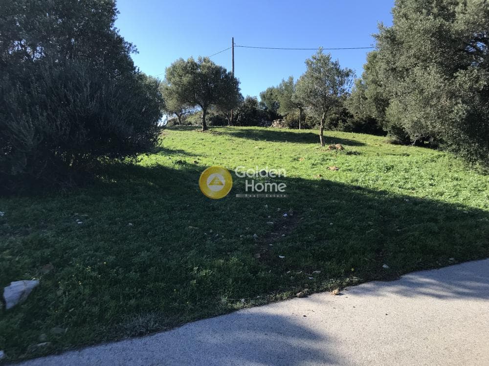 Parcel in Sinterina, Anavissos — Photo 1 of 17