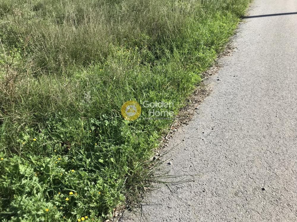 Parcel in Sinterina, Anavissos — Photo 4 of 17