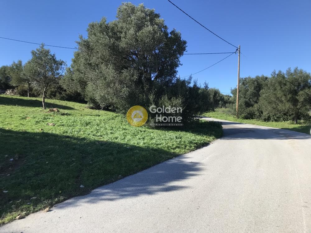 Parcel in Sinterina, Anavissos — Photo 15 of 17