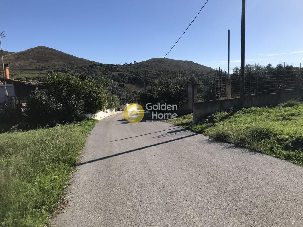 Parcel in Sinterina, Anavissos — Photo 16 of 17