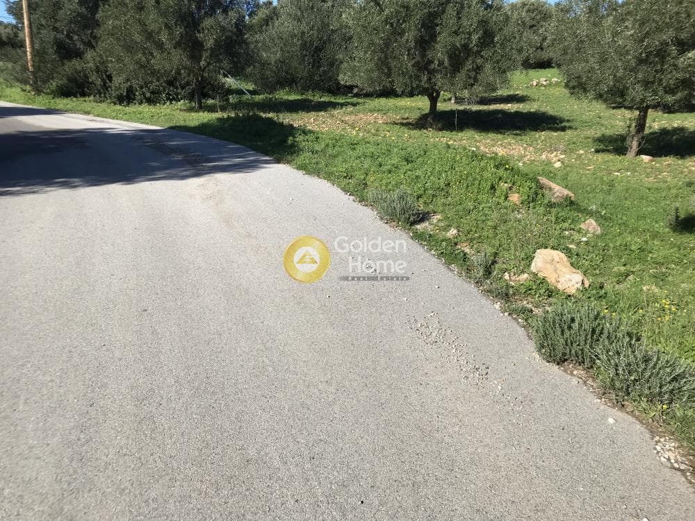 Parcel in Sinterina, Anavissos — Photo 17 of 17