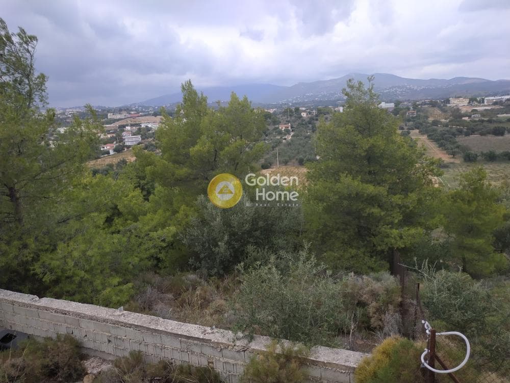 Οικόπεδο στην Νεάπολη, Σπάτα — Φωτογραφία 1 από 7