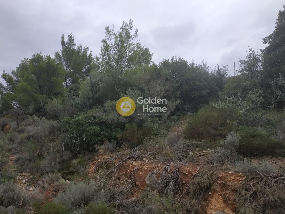 Οικόπεδο στην Νεάπολη, Σπάτα — Φωτογραφία 7 από 7