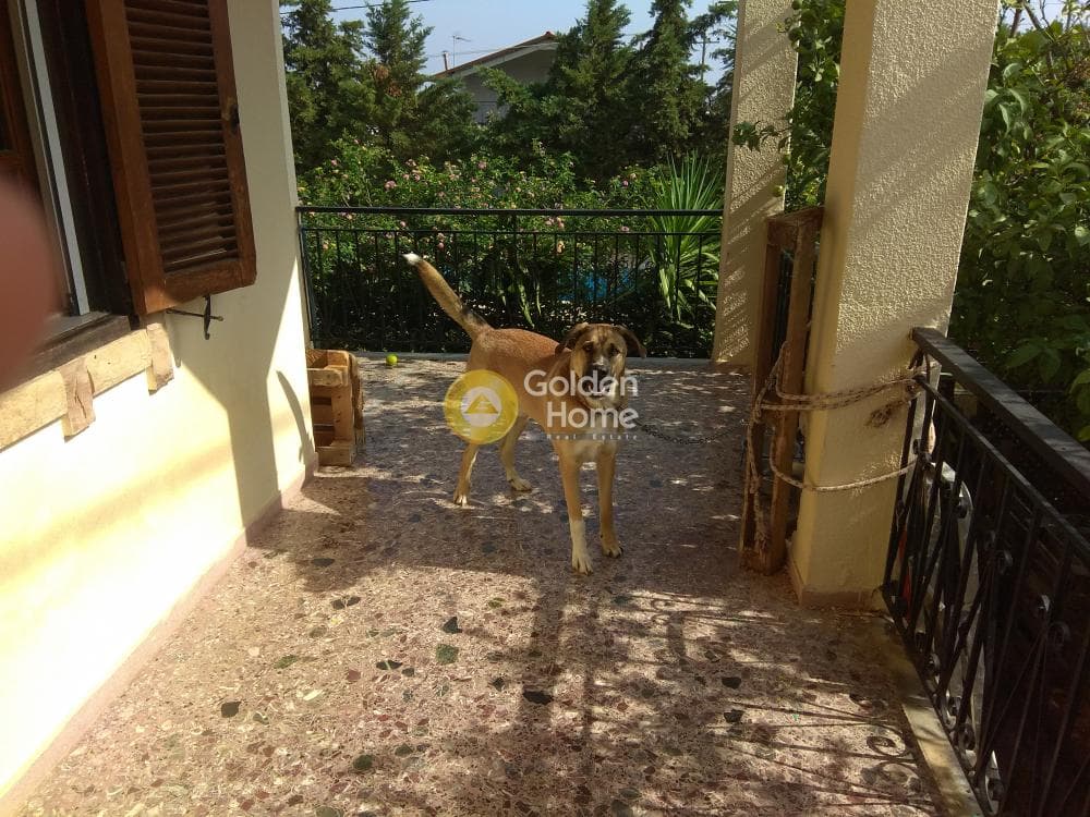 House in Agios Andreas, Nea Makri — Photo 12 of 14