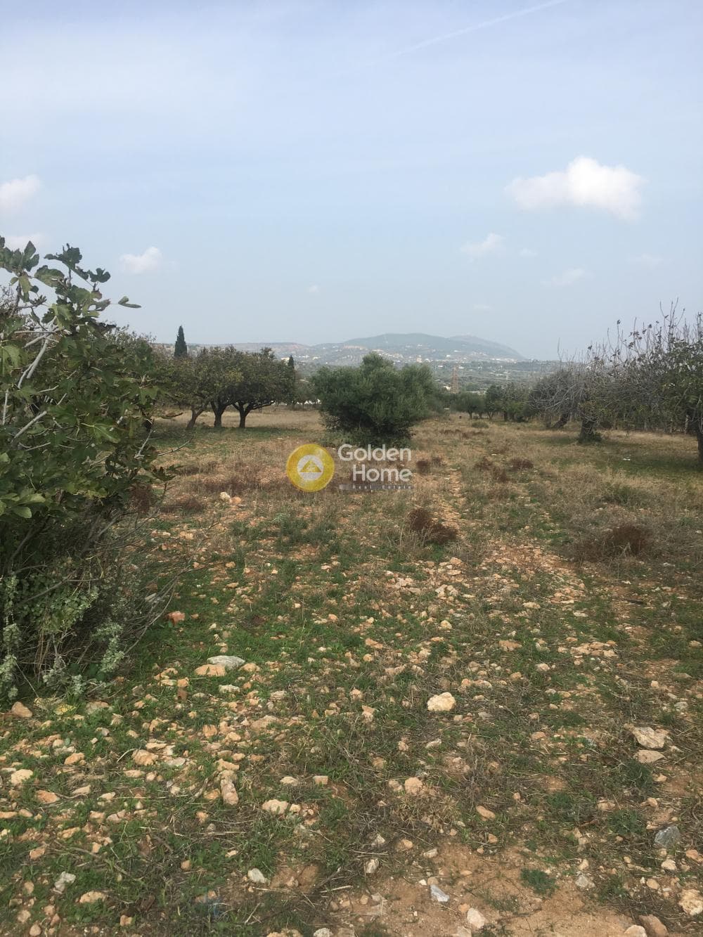 Building Plot in Venio Daskaleiou, Keratea — Photo 3 of 4