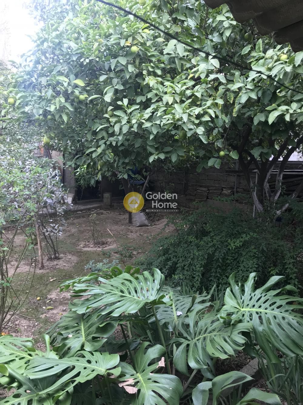 Building Plot in Achladia, Aigaleo — Photo 6 of 6