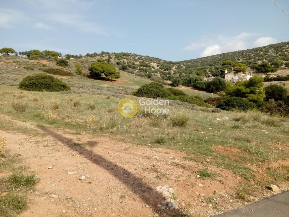 Building Plot in Agia Marina, Koropi — Photo 4 of 6