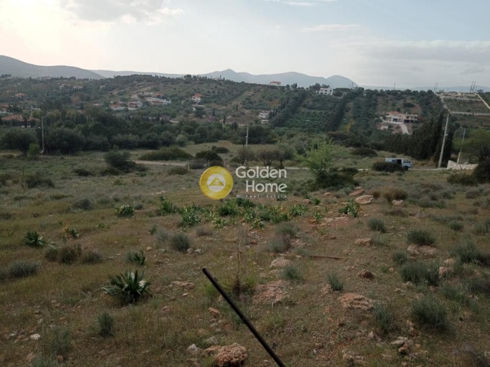 Parcel in Lamprika, Koropi — Photo 6 of 17