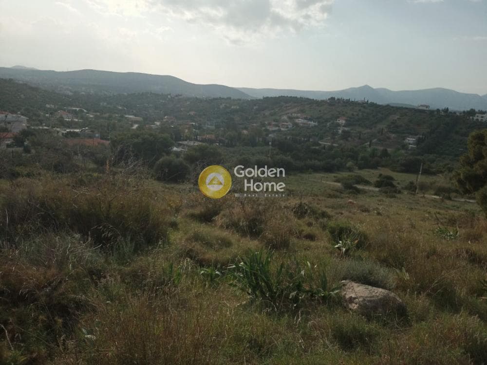 Parcel in Lamprika, Koropi — Photo 7 of 17