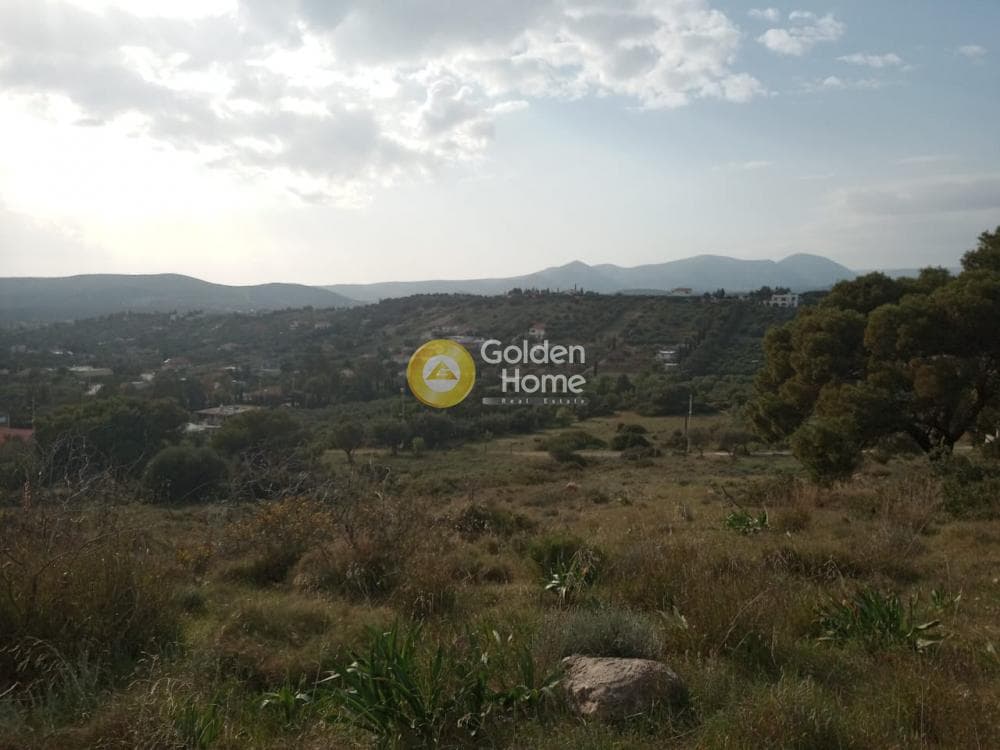 Parcel in Lamprika, Koropi — Photo 8 of 17
