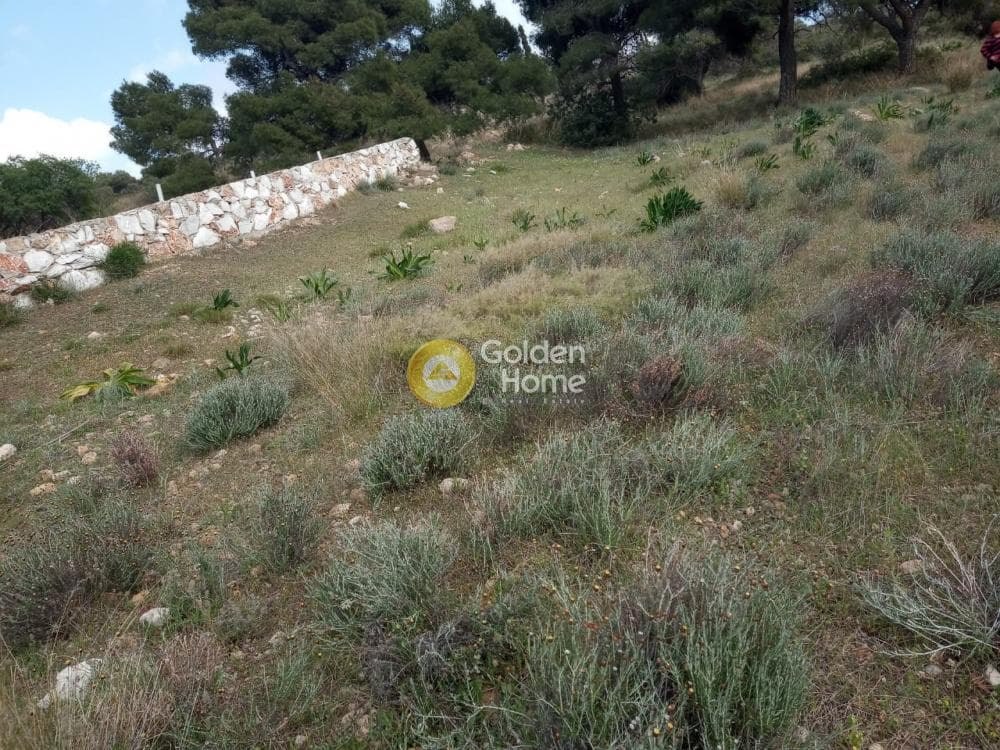 Parcel in Lamprika, Koropi — Photo 9 of 17