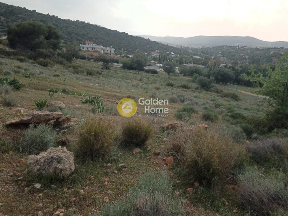 Parcel in Lamprika, Koropi — Photo 10 of 17