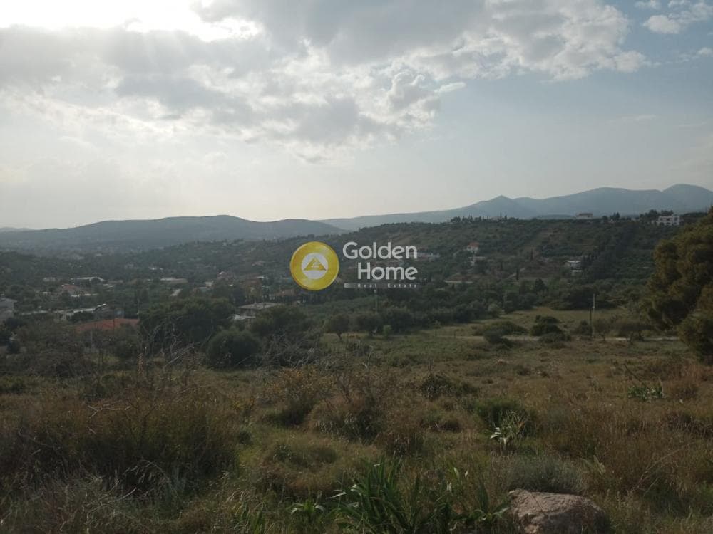 Parcel in Lamprika, Koropi — Photo 11 of 17