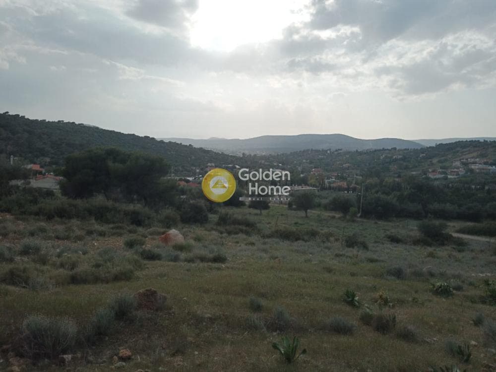 Parcel in Lamprika, Koropi — Photo 12 of 17