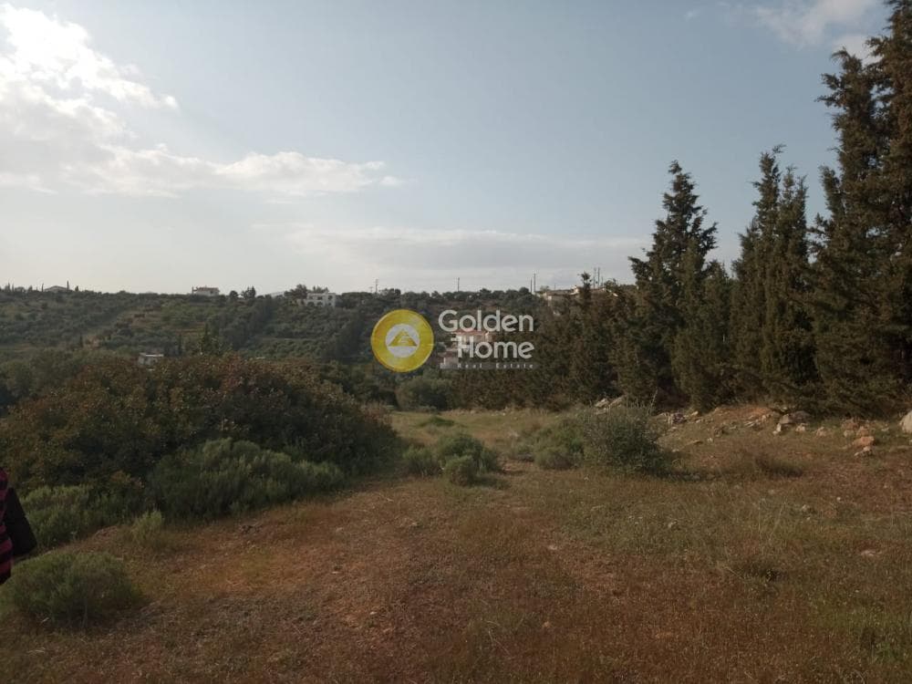 Parcel in Lamprika, Koropi — Photo 13 of 17