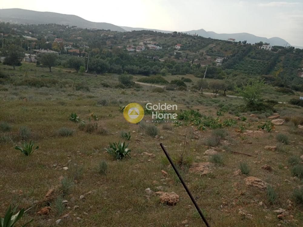 Parcel in Lamprika, Koropi — Photo 14 of 17