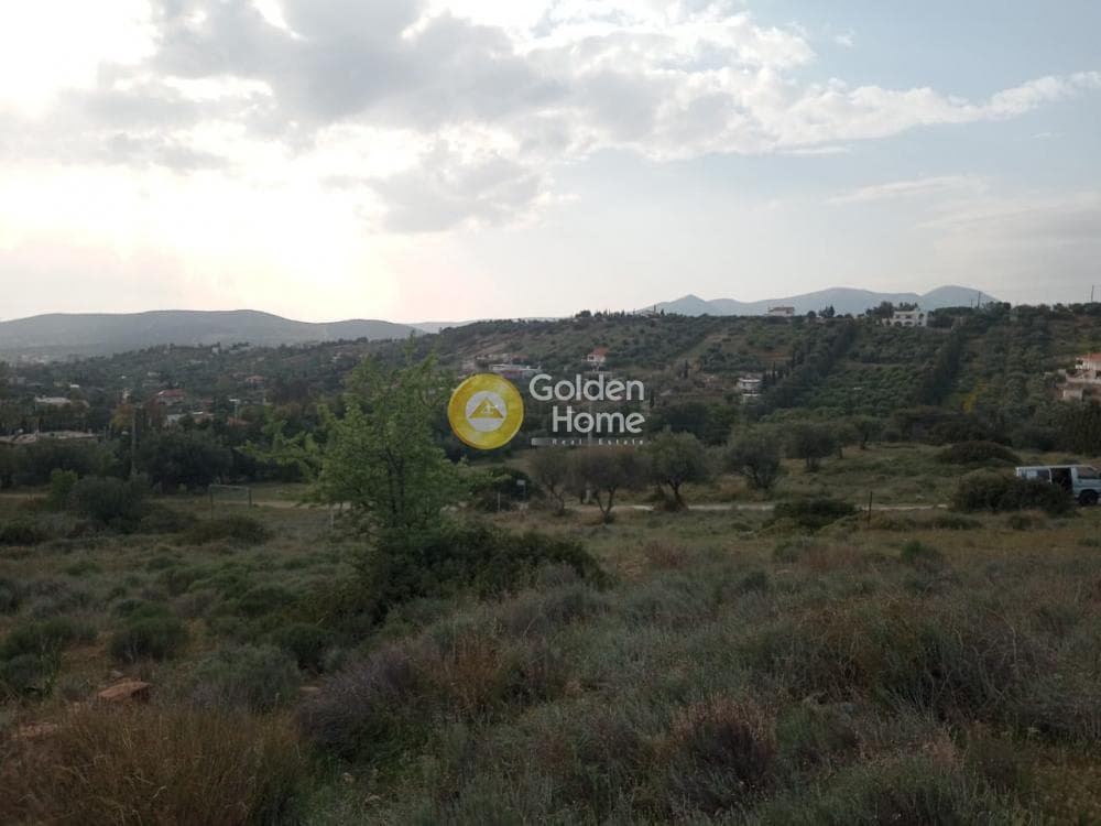 Parcel in Lamprika, Koropi — Photo 15 of 17