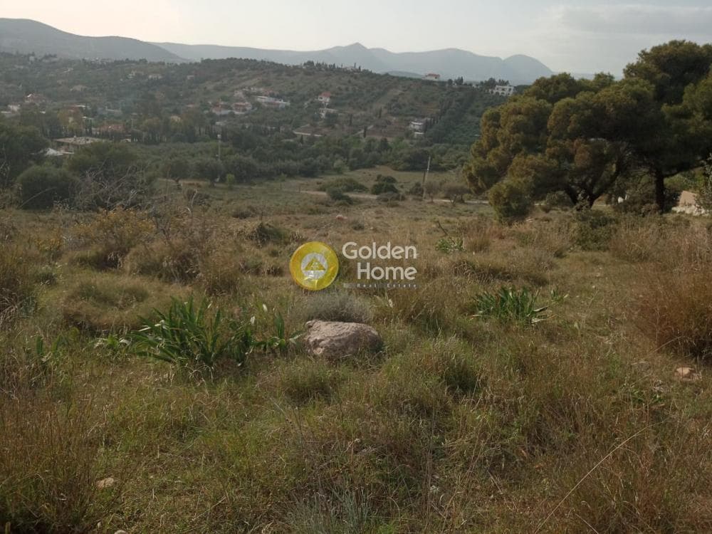 Parcel in Lamprika, Koropi — Photo 17 of 17