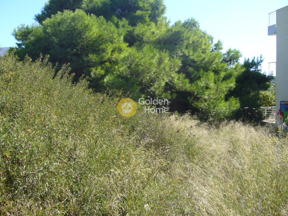Οικόπεδο στην Αγία Μαρίνα, Κορωπί — Φωτογραφία 13 από 13