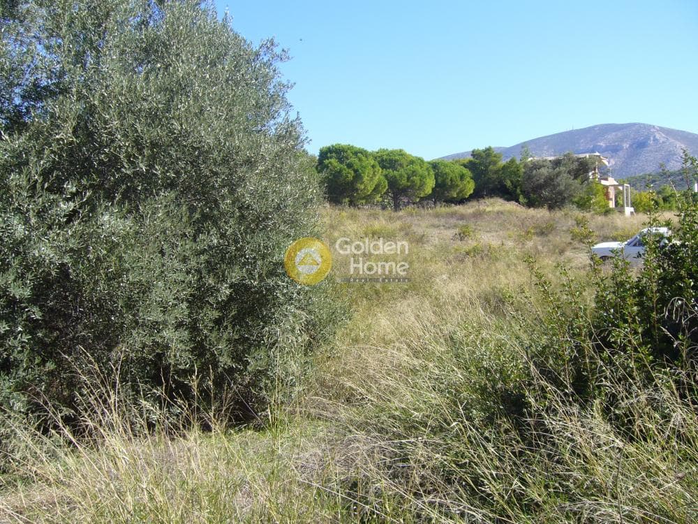 Οικόπεδο στην Αγία Μαρίνα, Κορωπί — Φωτογραφία 10 από 13