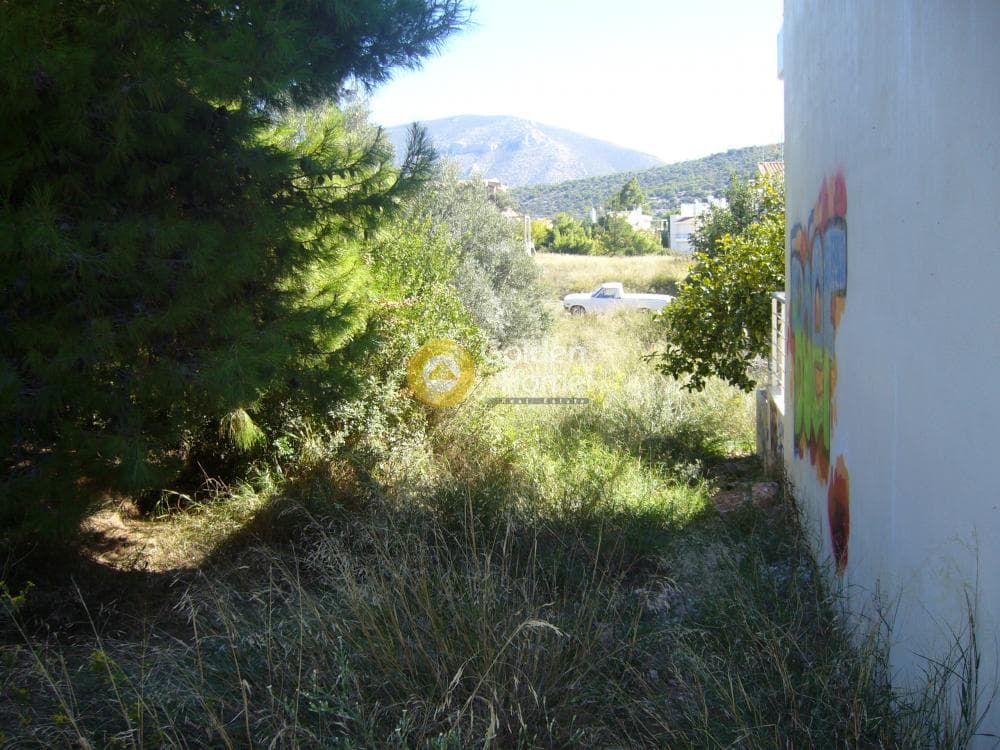 Οικόπεδο στην Αγία Μαρίνα, Κορωπί — Φωτογραφία 3 από 8