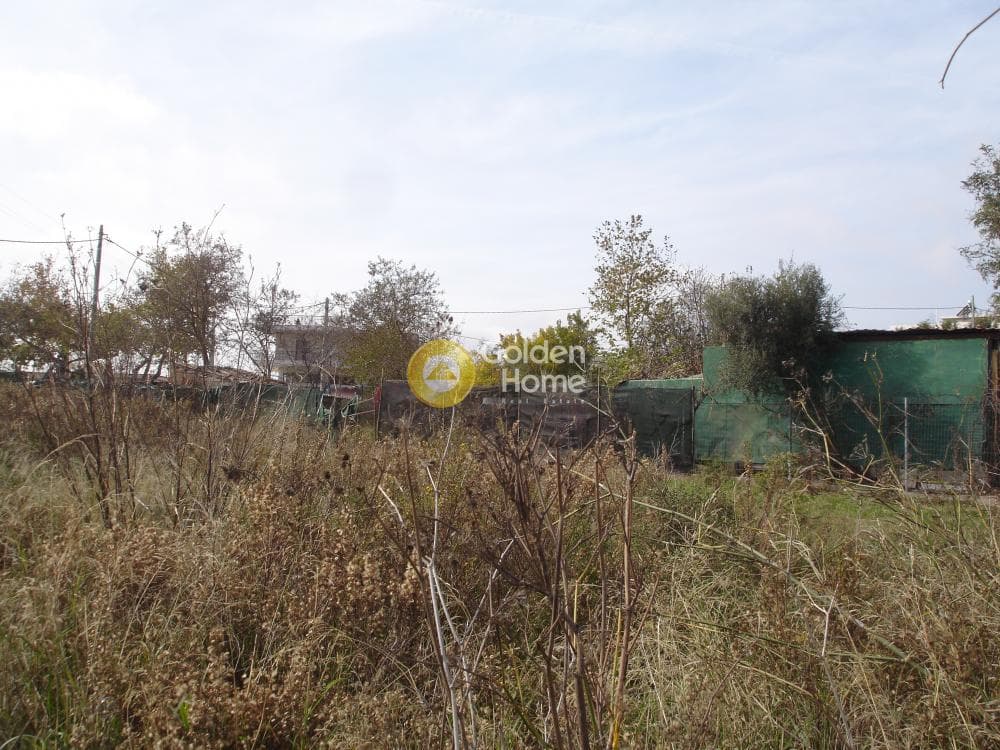 Building Plot in Center, Stamata — Photo 4 of 9