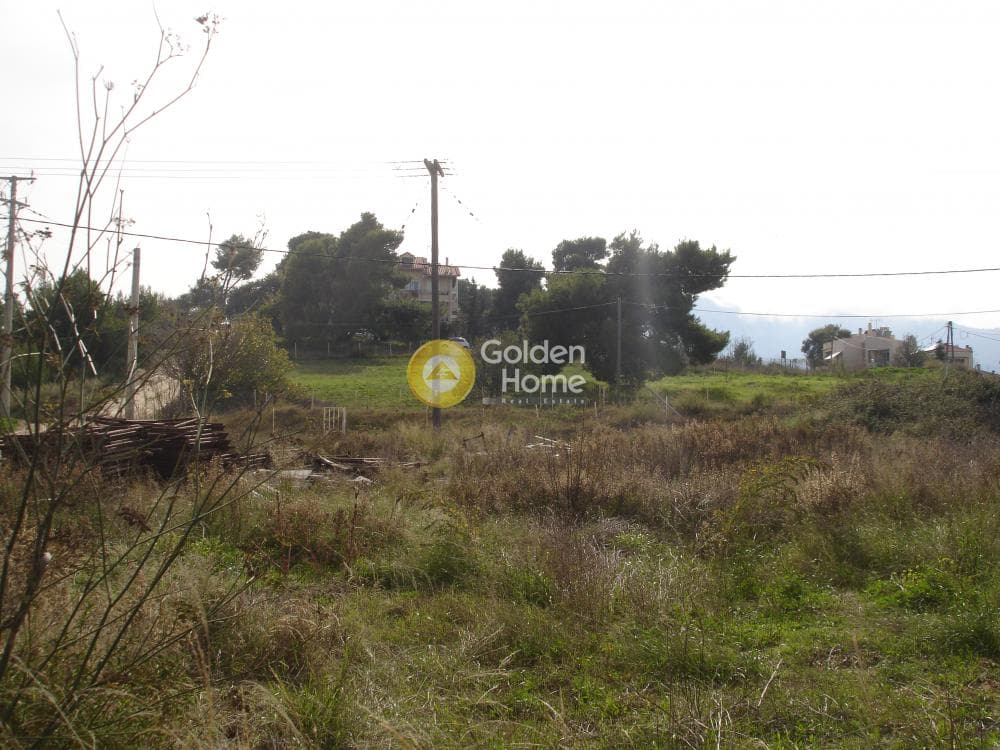 Building Plot in Center, Stamata — Photo 6 of 9