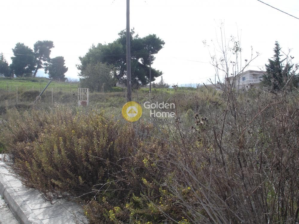 Building Plot in Center, Stamata — Photo 5 of 9