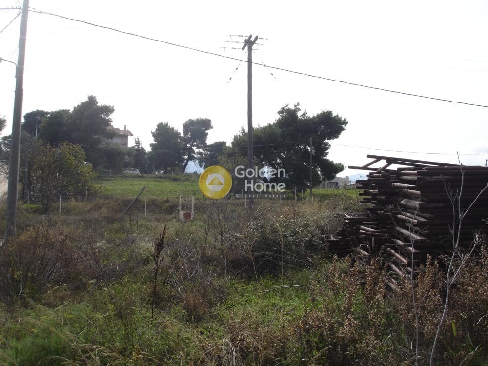Building Plot in Center, Stamata — Photo 7 of 9
