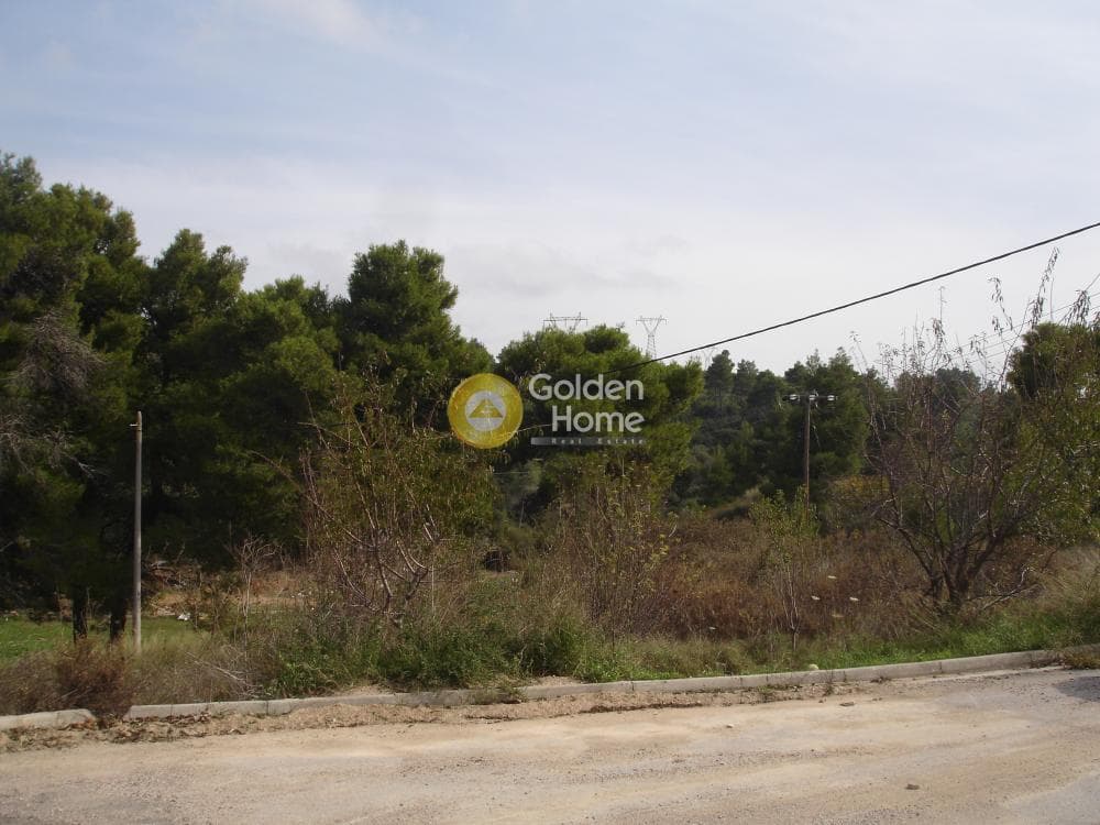 Building Plot in Center, Stamata — Photo 9 of 9