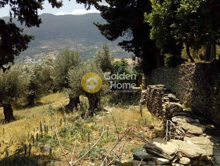 Building Plot in Lamira, Andros — Photo 5 of 6