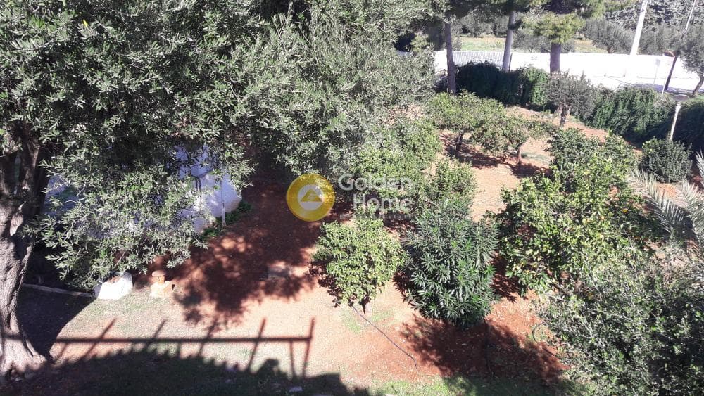 Μονοκατοικία στην Λεωφ. Βάρης Κορωπίου, Κορωπί — Φωτογραφία 5 από 9