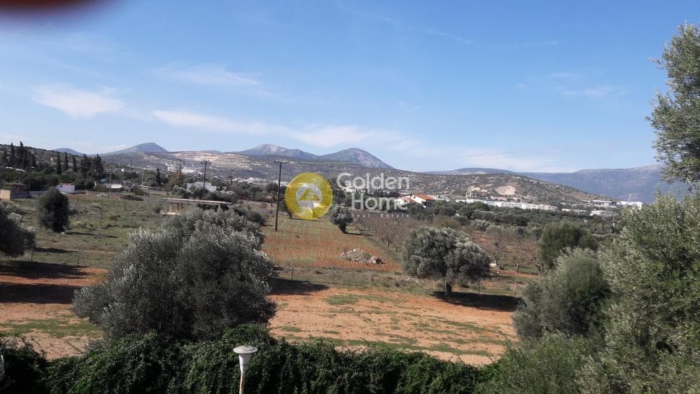 Μονοκατοικία στην Λεωφ. Βάρης Κορωπίου, Κορωπί — Φωτογραφία 6 από 9