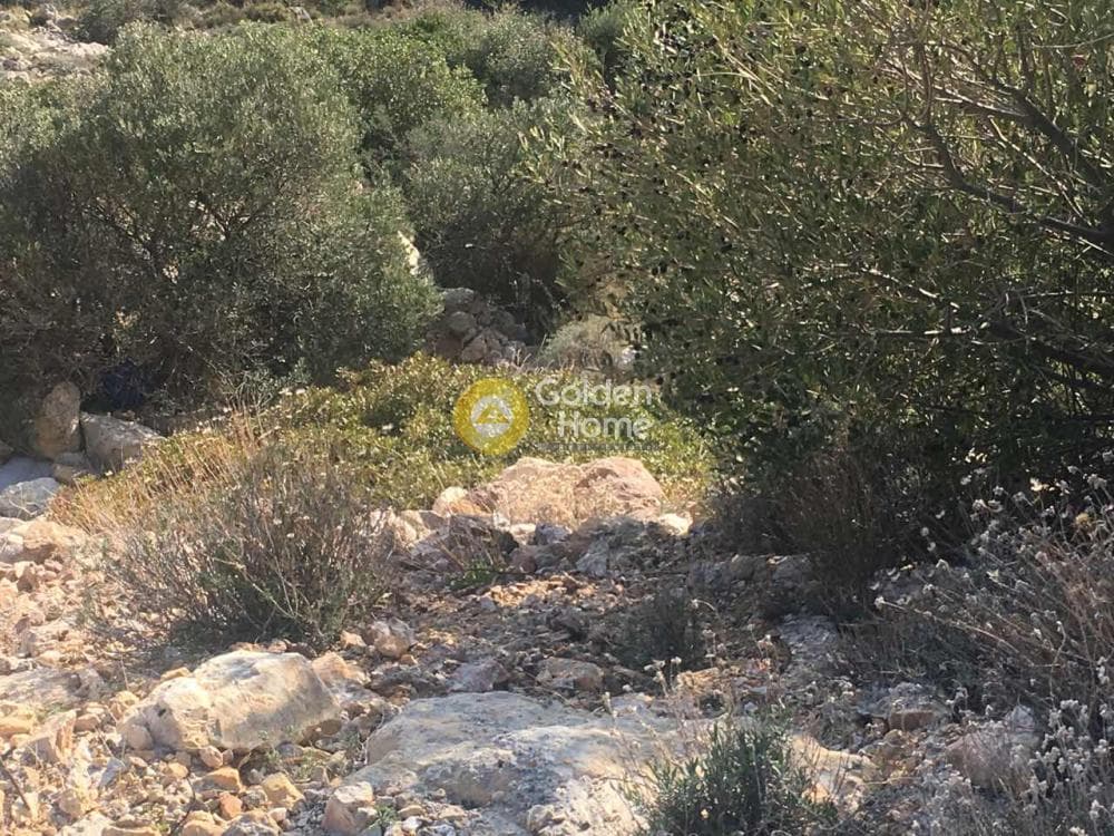 Οικόπεδο στην Σαρωνίδα, Σαρωνίδα — Φωτογραφία 2 από 5