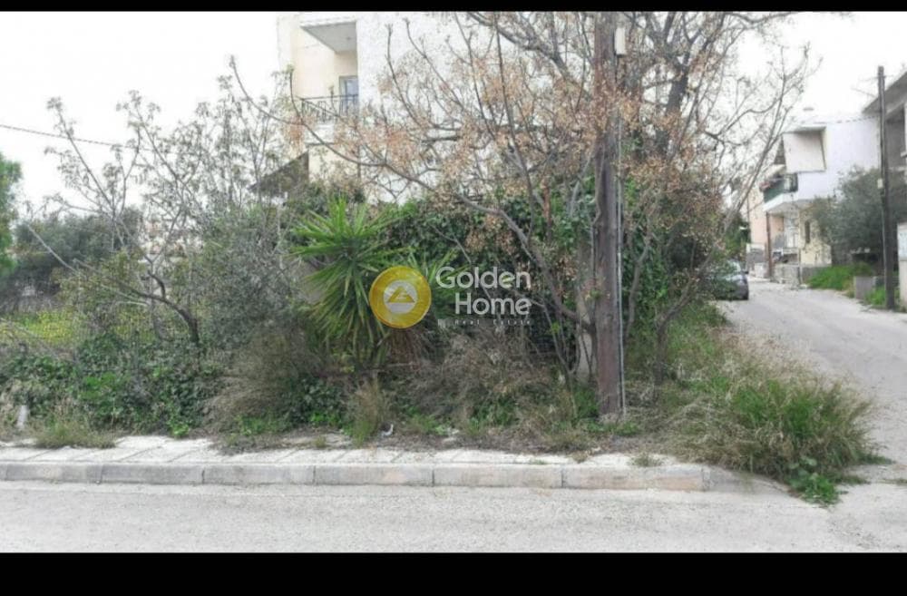 Building Plot in Agios Georgios, Ano Liosia — Photo 1 of 5
