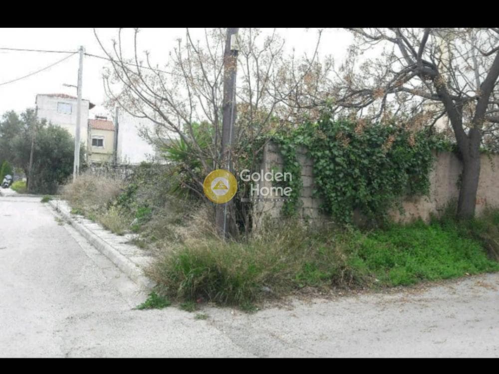 Building Plot in Agios Georgios, Ano Liosia — Photo 2 of 5