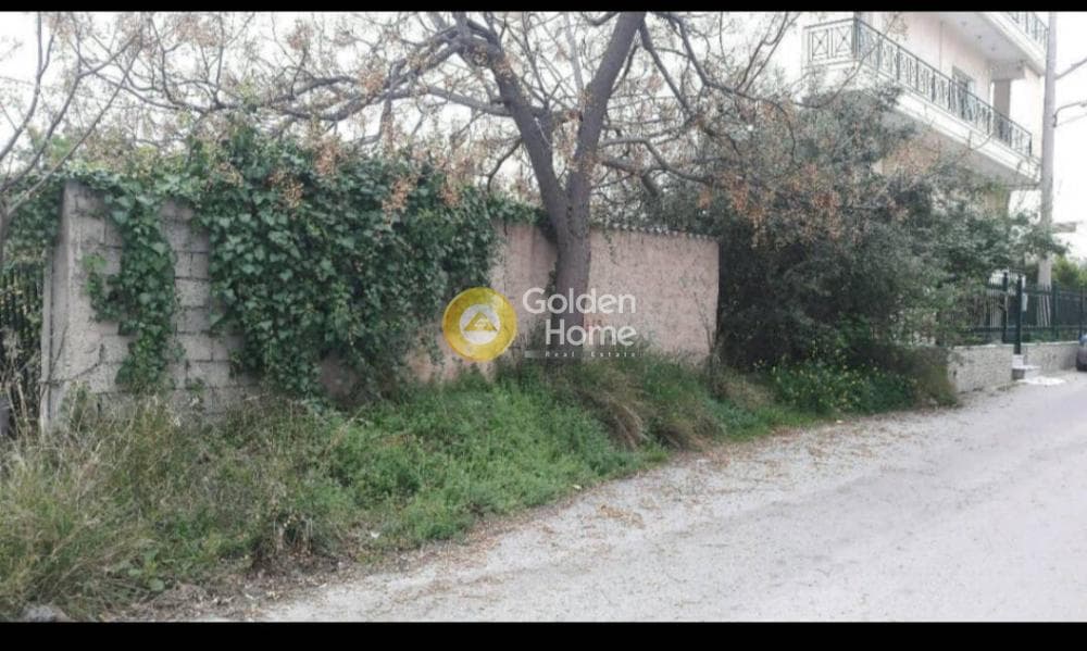 Building Plot in Agios Georgios, Ano Liosia — Photo 4 of 5