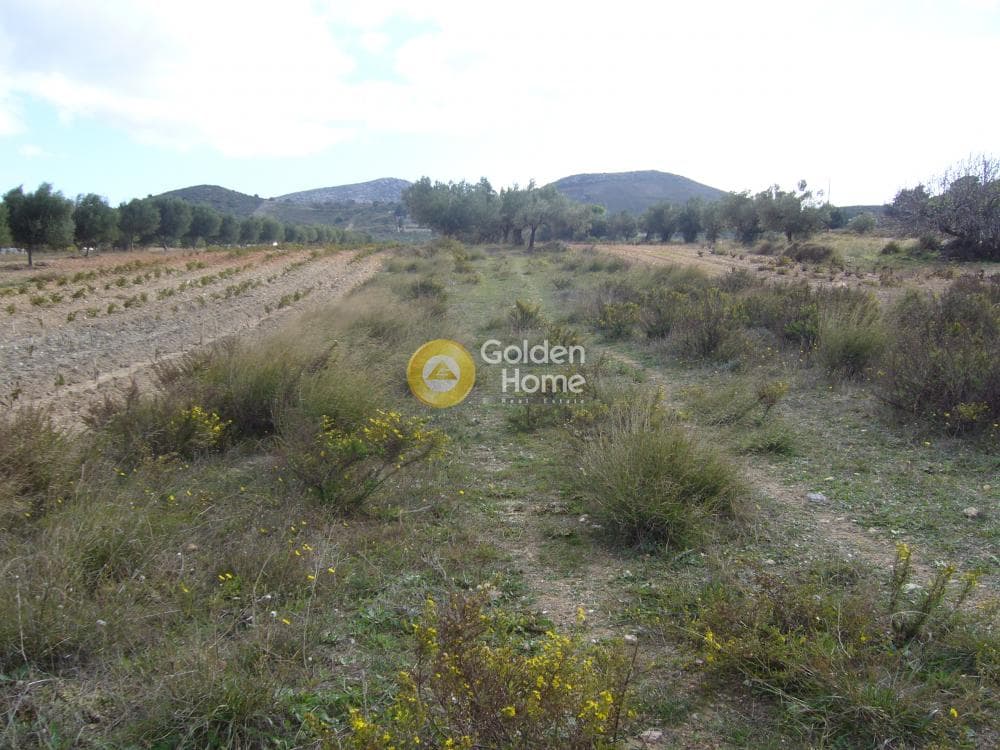 Parcel in Manoutso, Keratea — Photo 5 of 12
