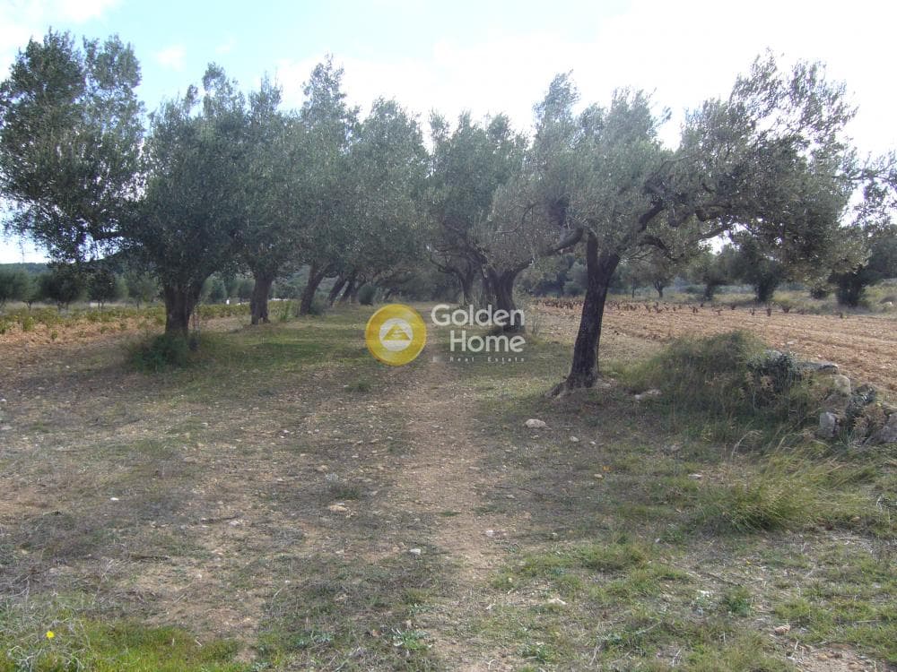 Parcel in Manoutso, Keratea — Photo 3 of 12