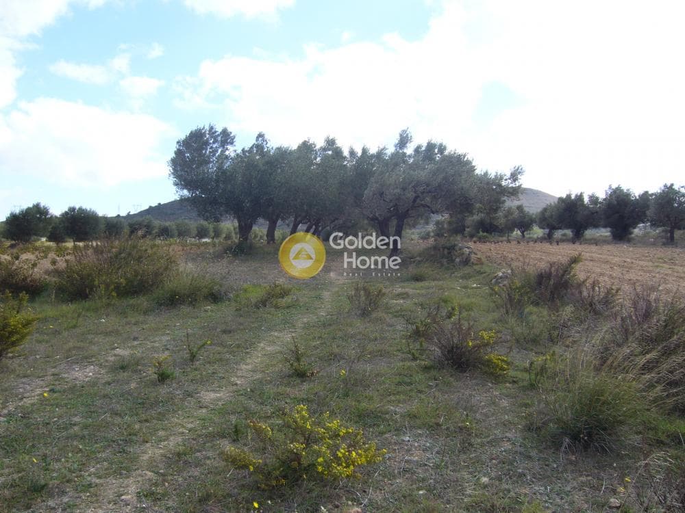 Parcel in Manoutso, Keratea — Photo 9 of 12