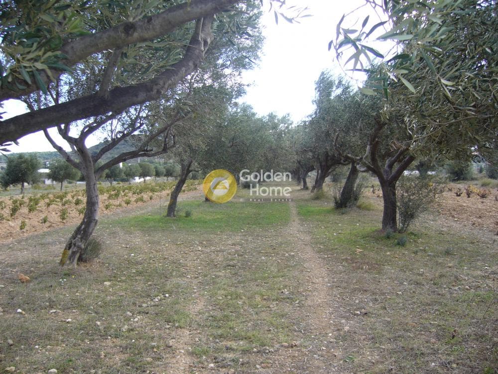 Parcel in Manoutso, Keratea — Photo 4 of 12