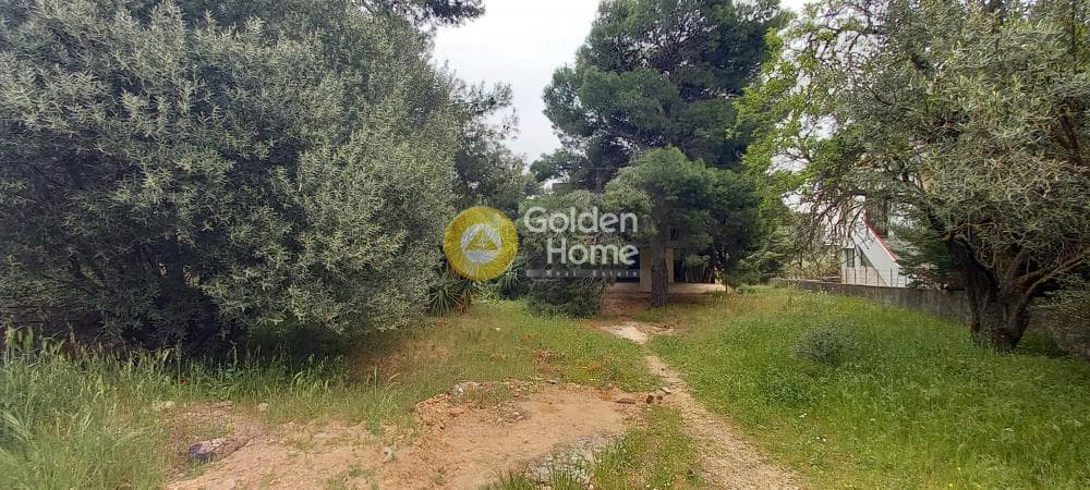 Μονοκατοικία στην Μεγάλα Σχοινία Α, Αχαρνές — Φωτογραφία 10 από 24