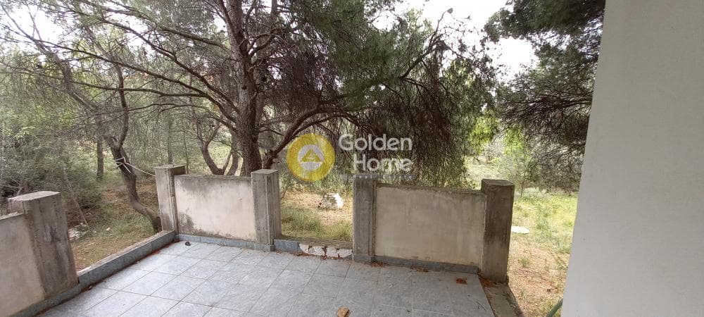 Μονοκατοικία στην Μεγάλα Σχοινία Α, Αχαρνές — Φωτογραφία 16 από 24
